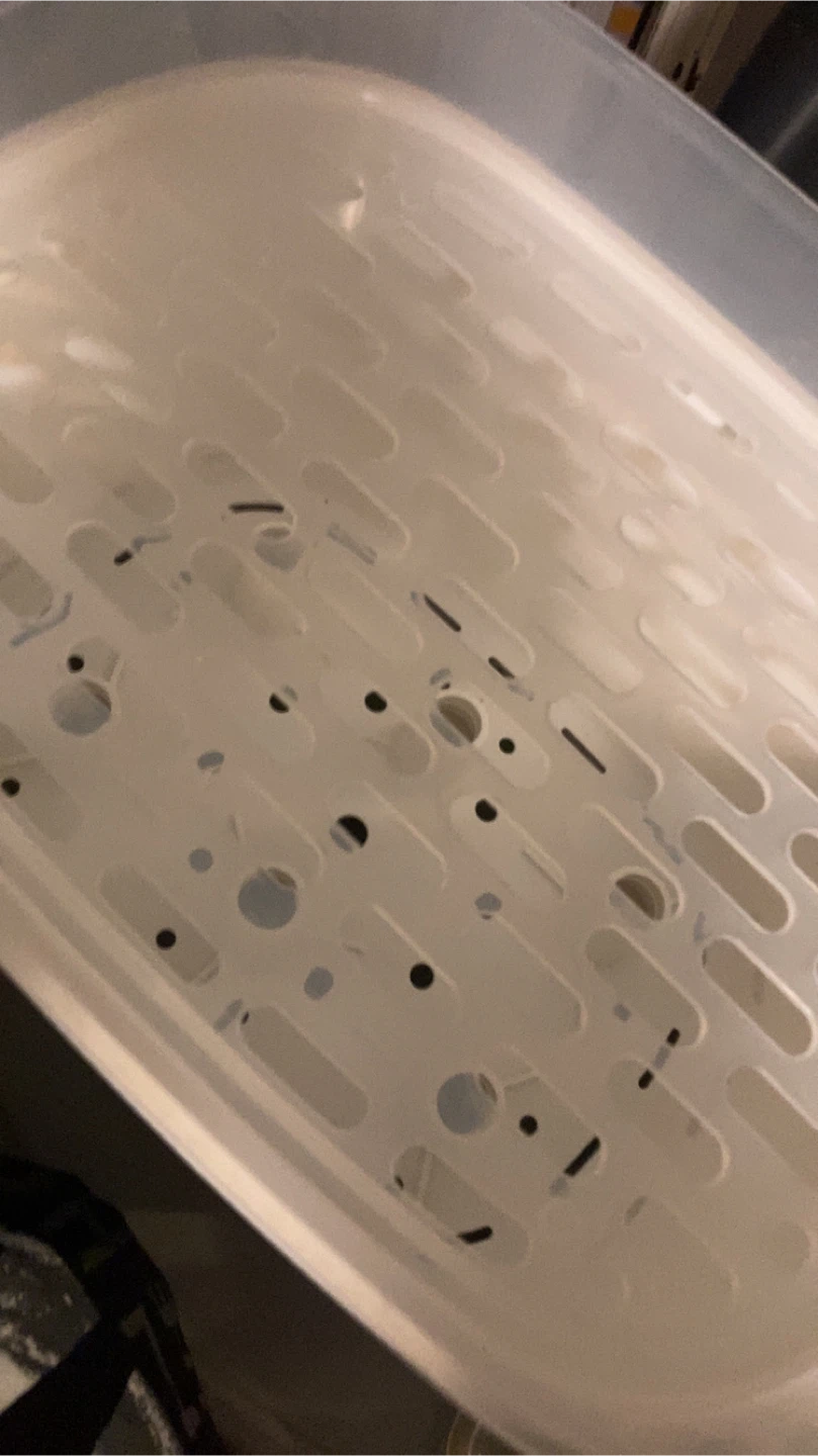The First Years Baby Bottle Sterilizer - photo 2