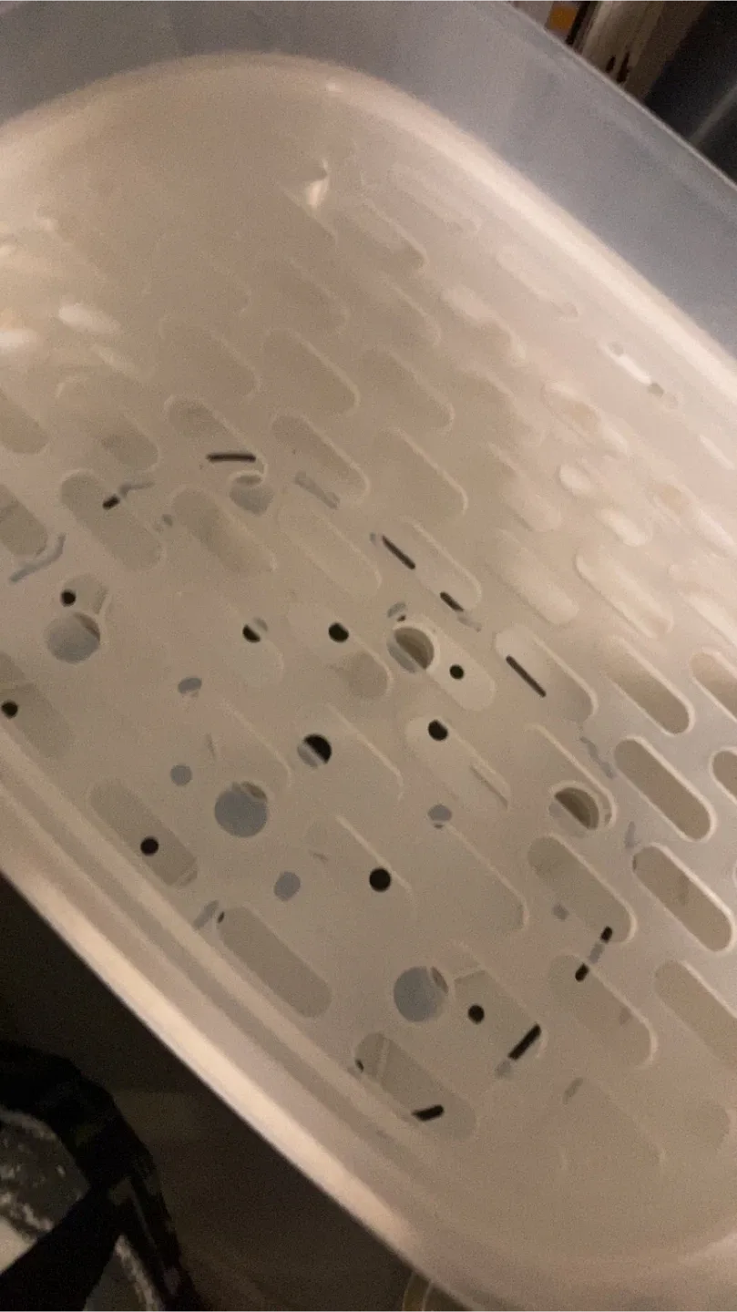 The First Years Baby Bottle Sterilizer image indicator(2)