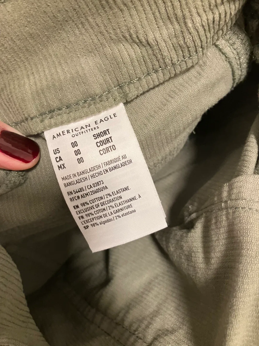 American Eagle Corduroy Pants - Size 00 image indicator(3)