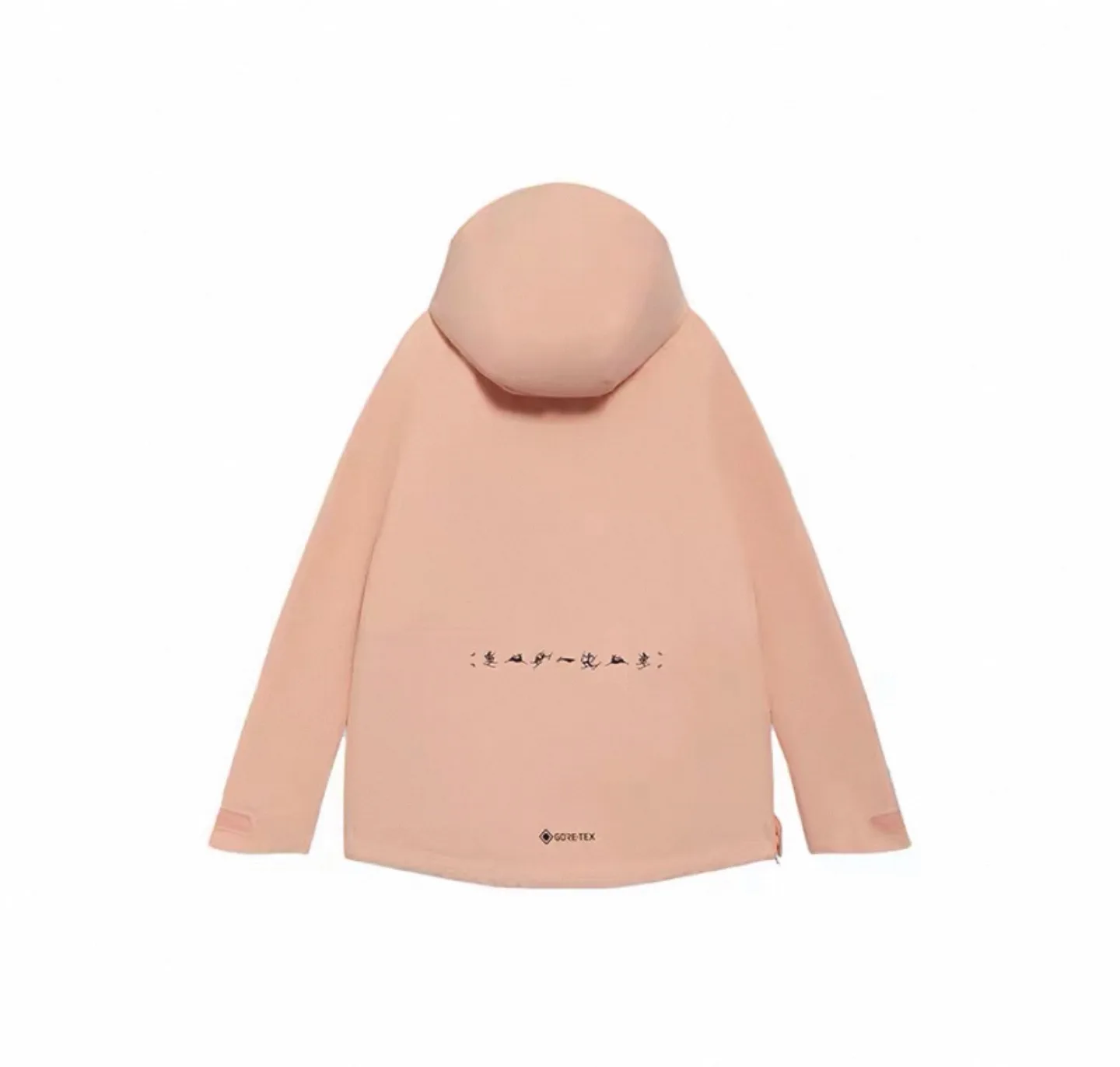 gore-tex snow Jacket - Size L image indicator(2)