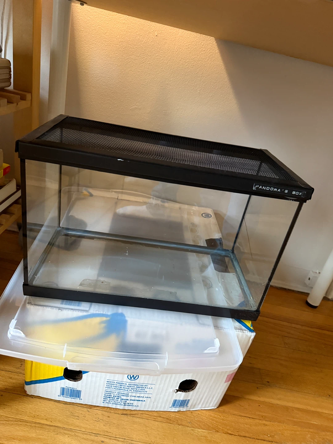Small Terrarium