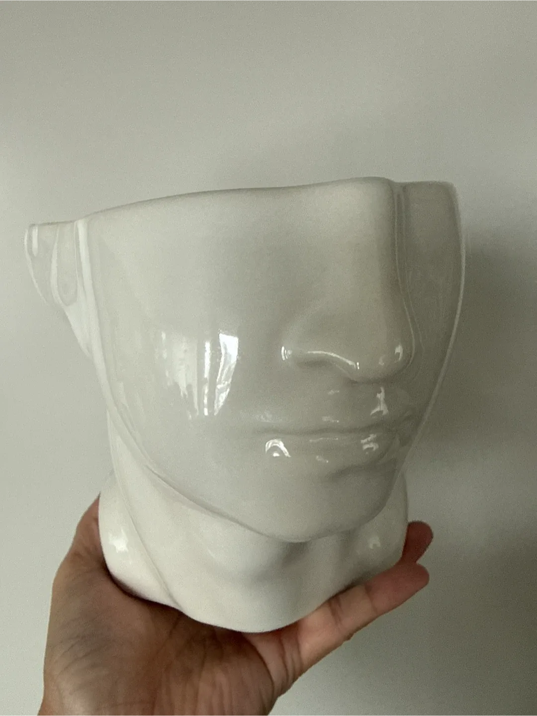Face Planter Ceramic Vase