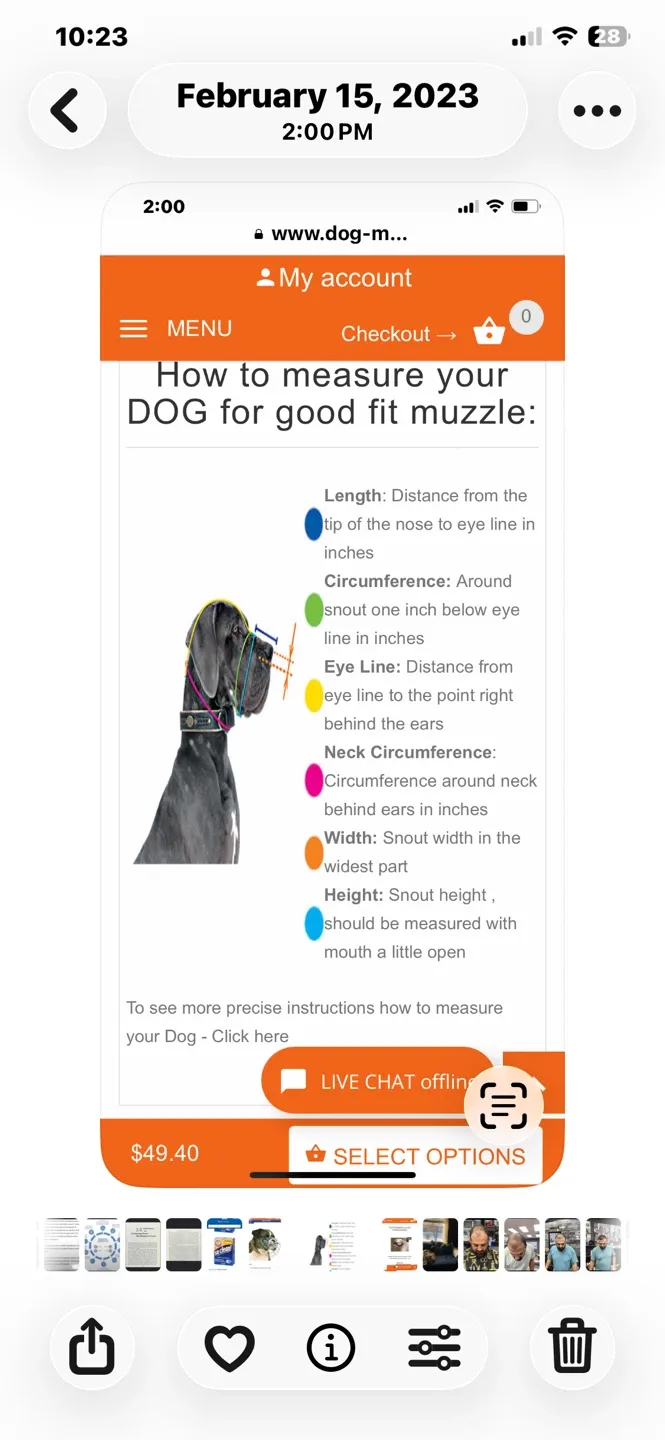 Dog muzzle, black image indicator(8)
