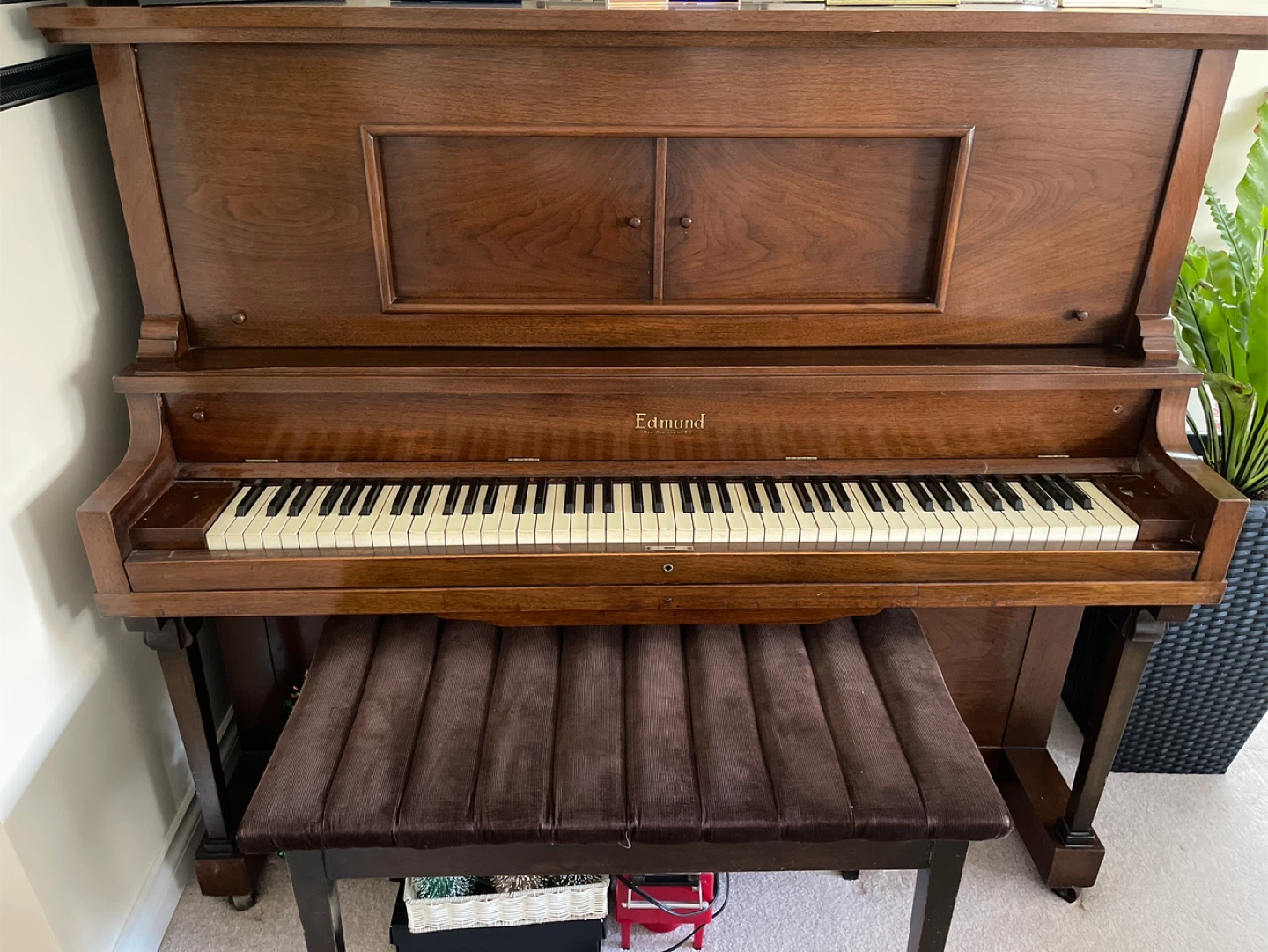Edmund Player Piano - New Westminster, B.C.