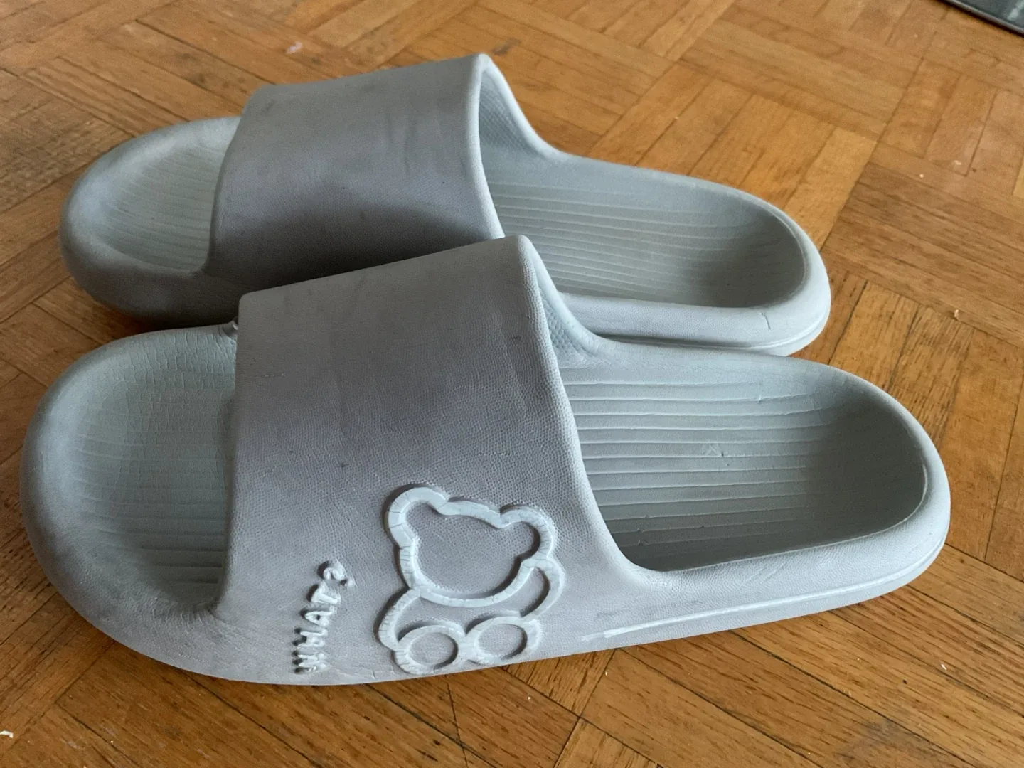 Grey Bear Slides thumbnail
