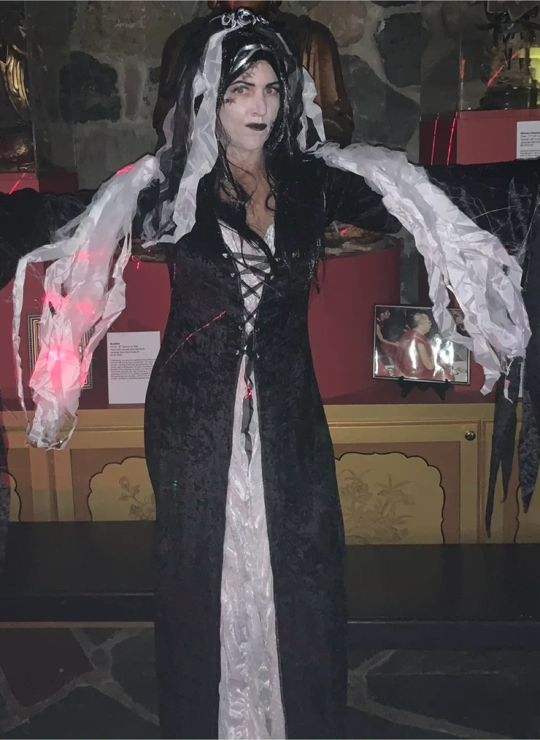 Dead Bride Adult Costume - Medium/Large image indicator(2)