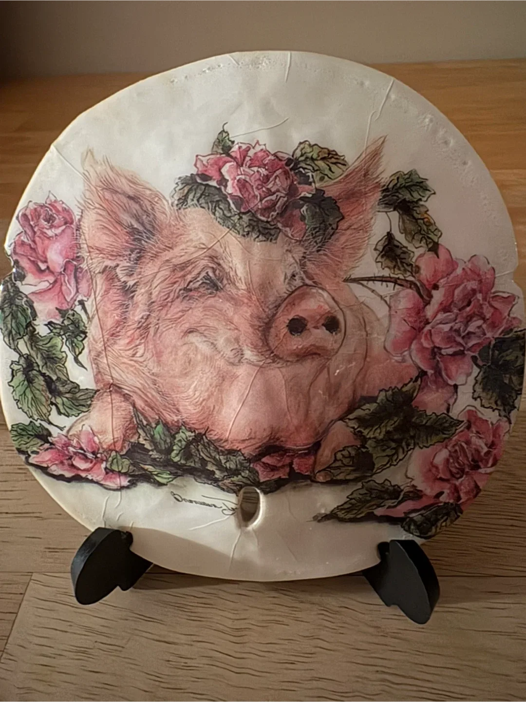 Pig Sand Dollars with Stands (2) image indicator(4)