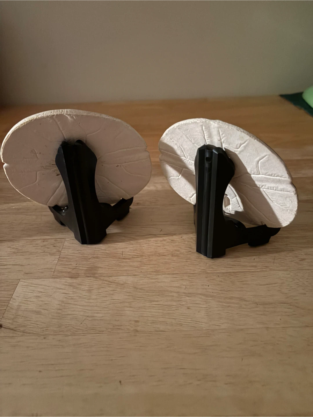 Pig Sand Dollars with Stands (2) - photo 3