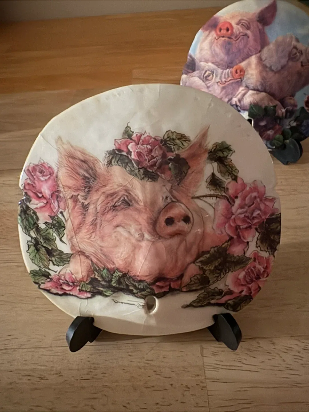 Pig Sand Dollars with Stands (2)