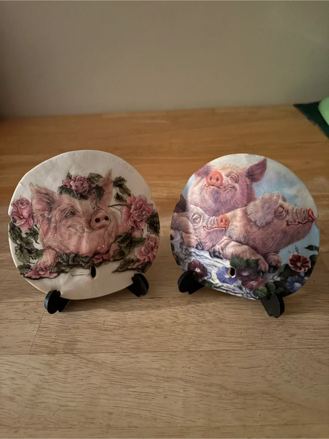 Pig Sand Dollars with Stands (2) image indicator(6)