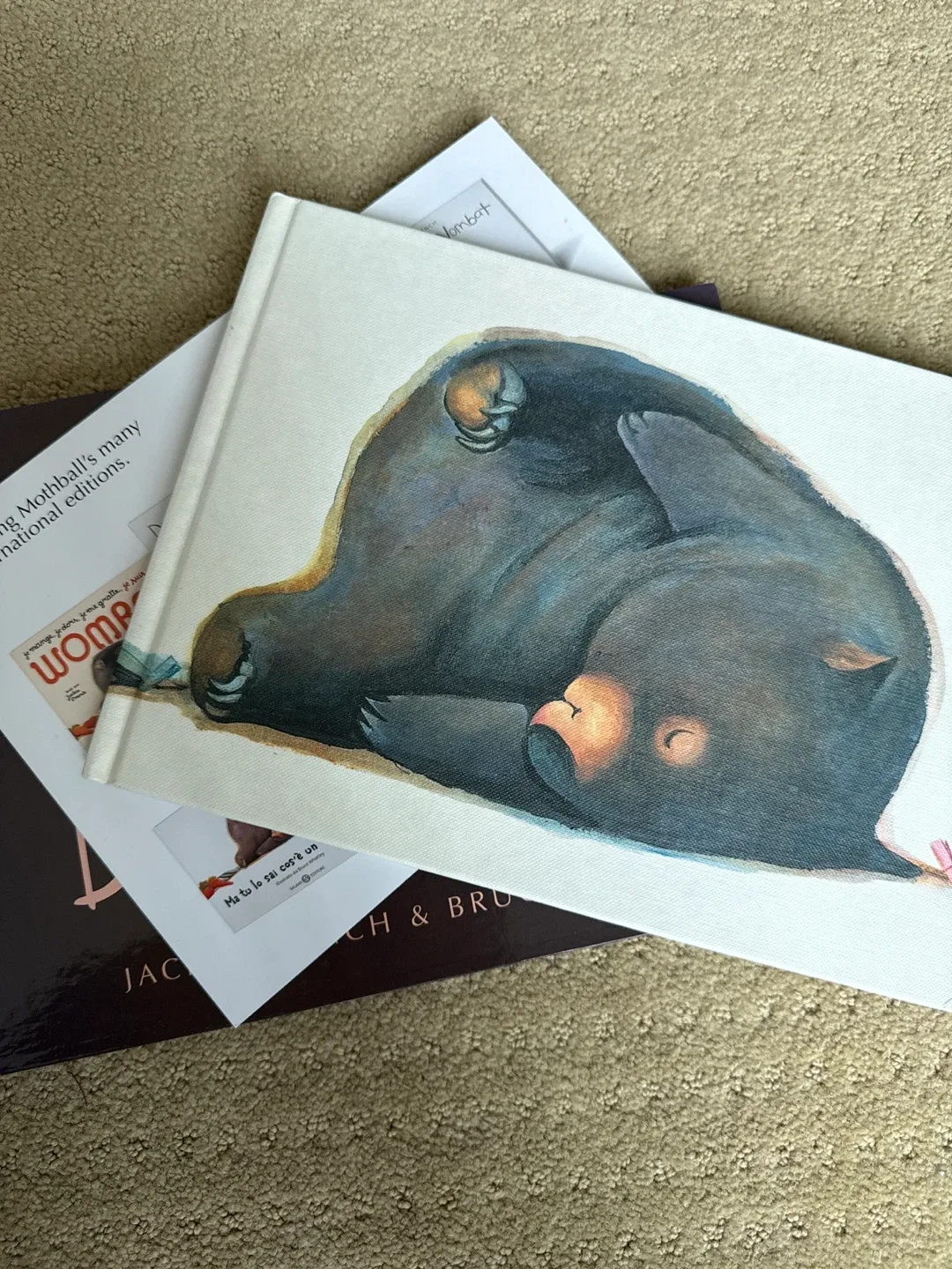 🥕Diary of a Wombat 10th Anniversary Edition image indicator(3)