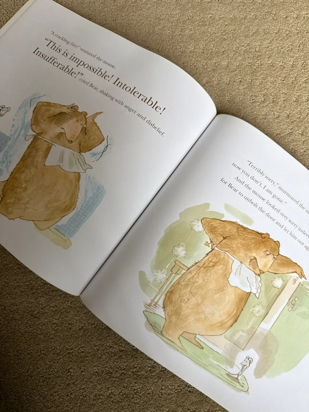 🥕A Visitor for Bear by Bonny Becker image indicator(2)