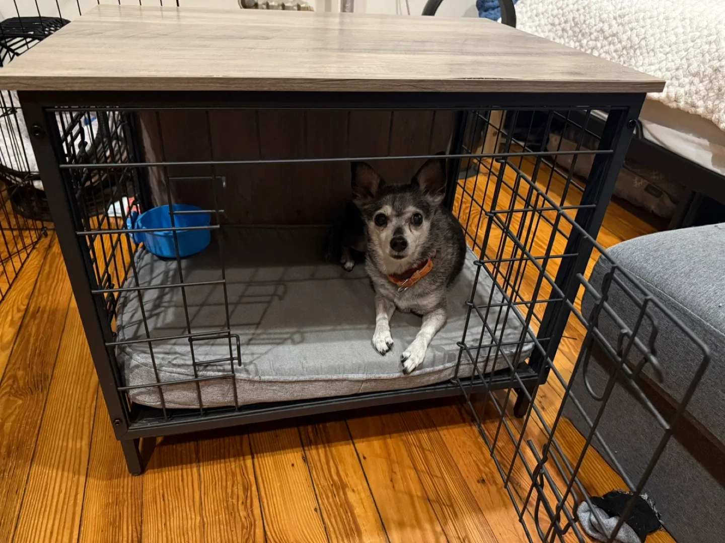 Dog crate and table image indicator(4)
