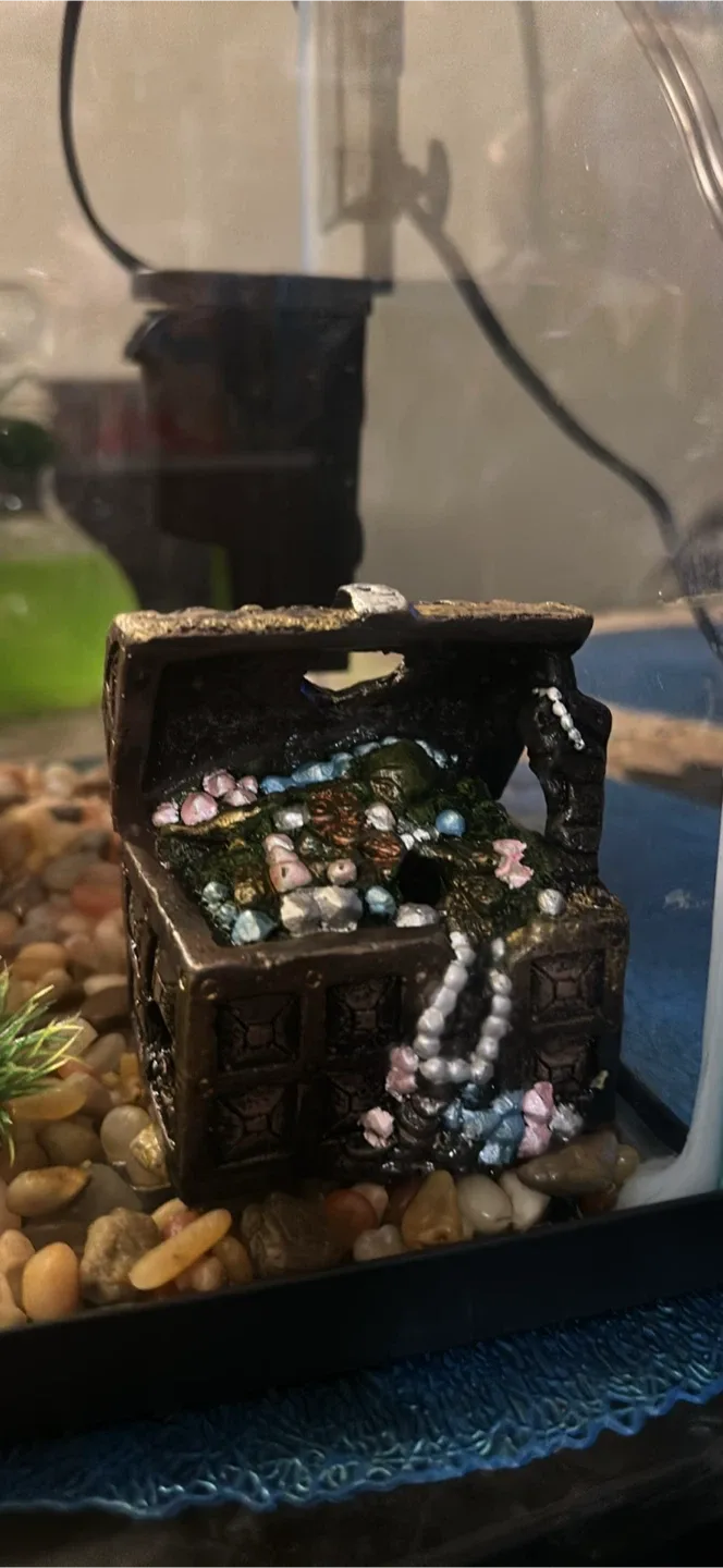 Aquarium with Accessories image indicator(3)