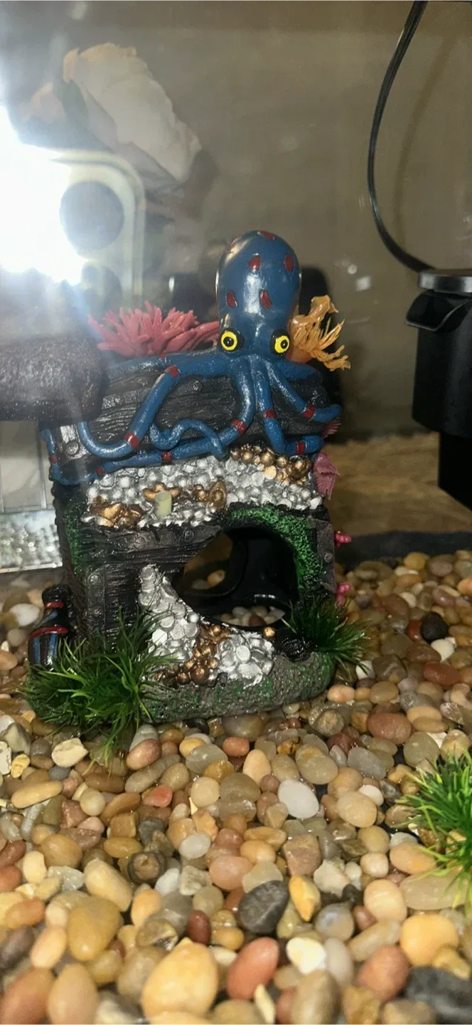 Aquarium with Accessories image indicator(2)