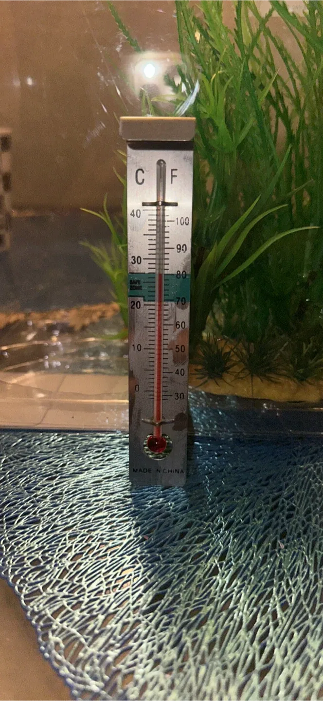 Aquarium with Accessories image indicator(4)