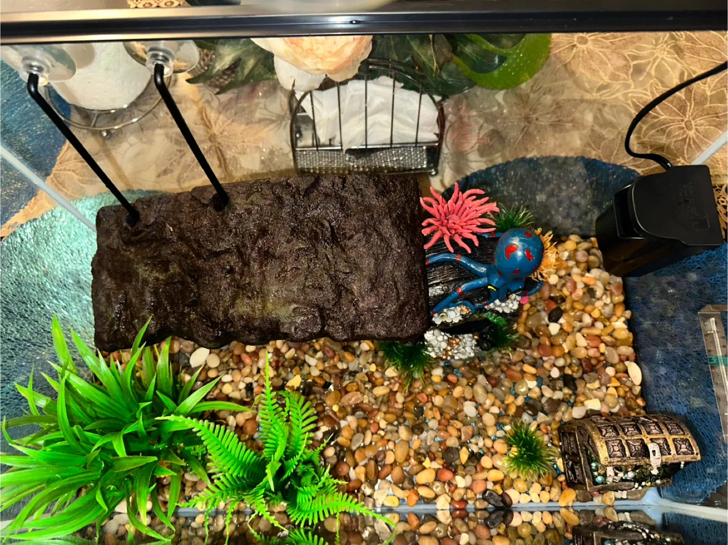 Aquarium with Accessories image indicator(6)