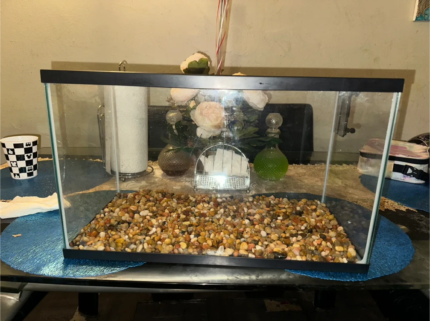 Aquarium with Accessories image indicator(8)