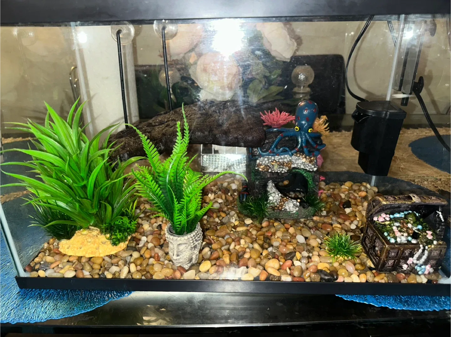 Aquarium with Accessories image indicator(7)