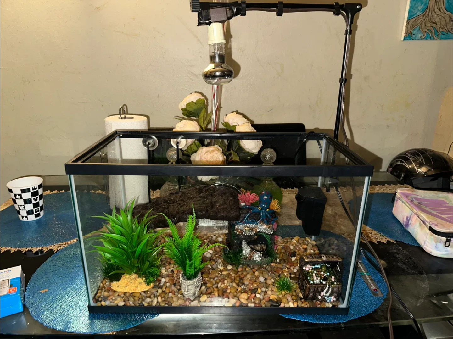 Aquarium with Accessories image indicator(9)