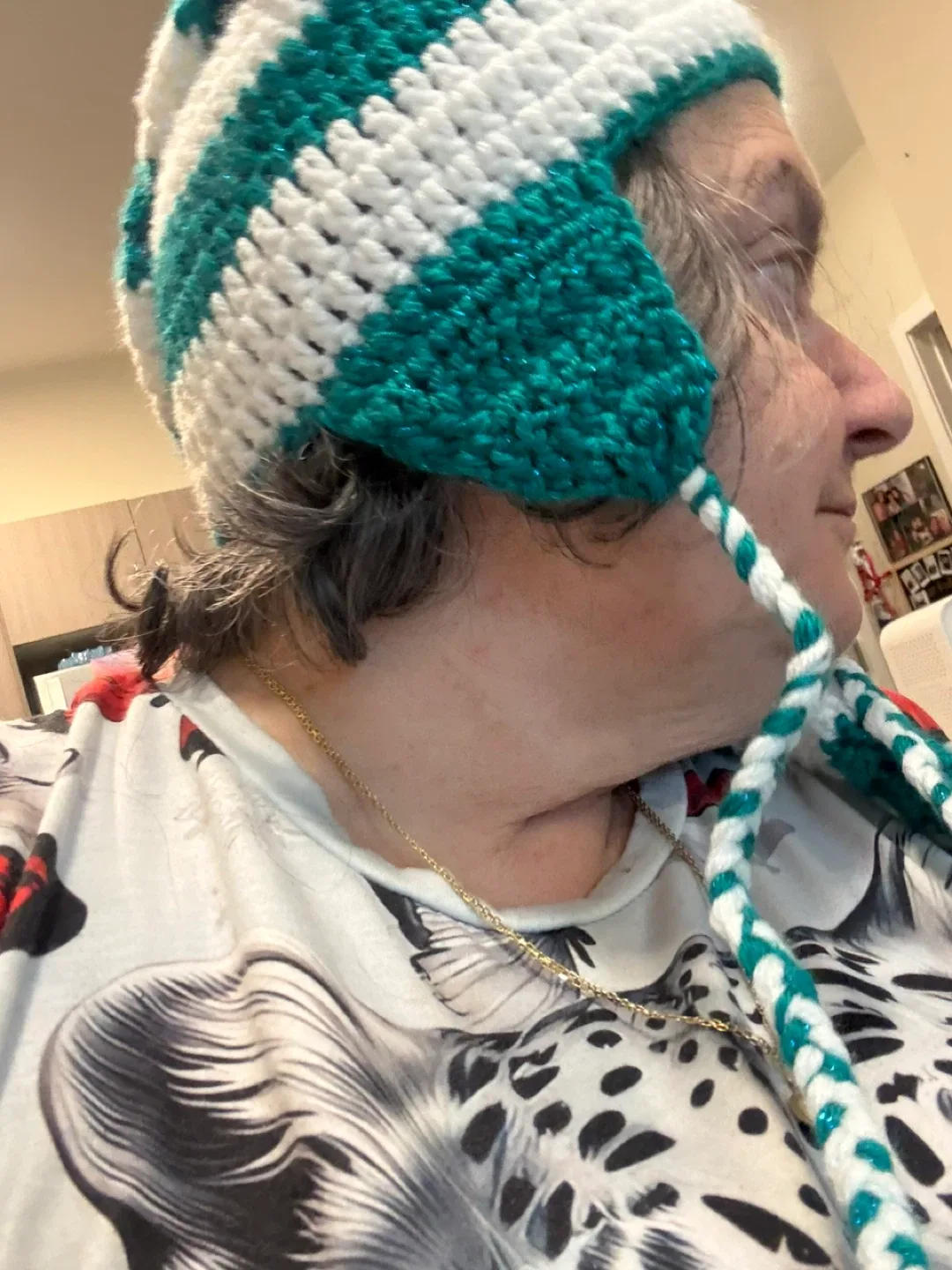 Elf hat image indicator(3)