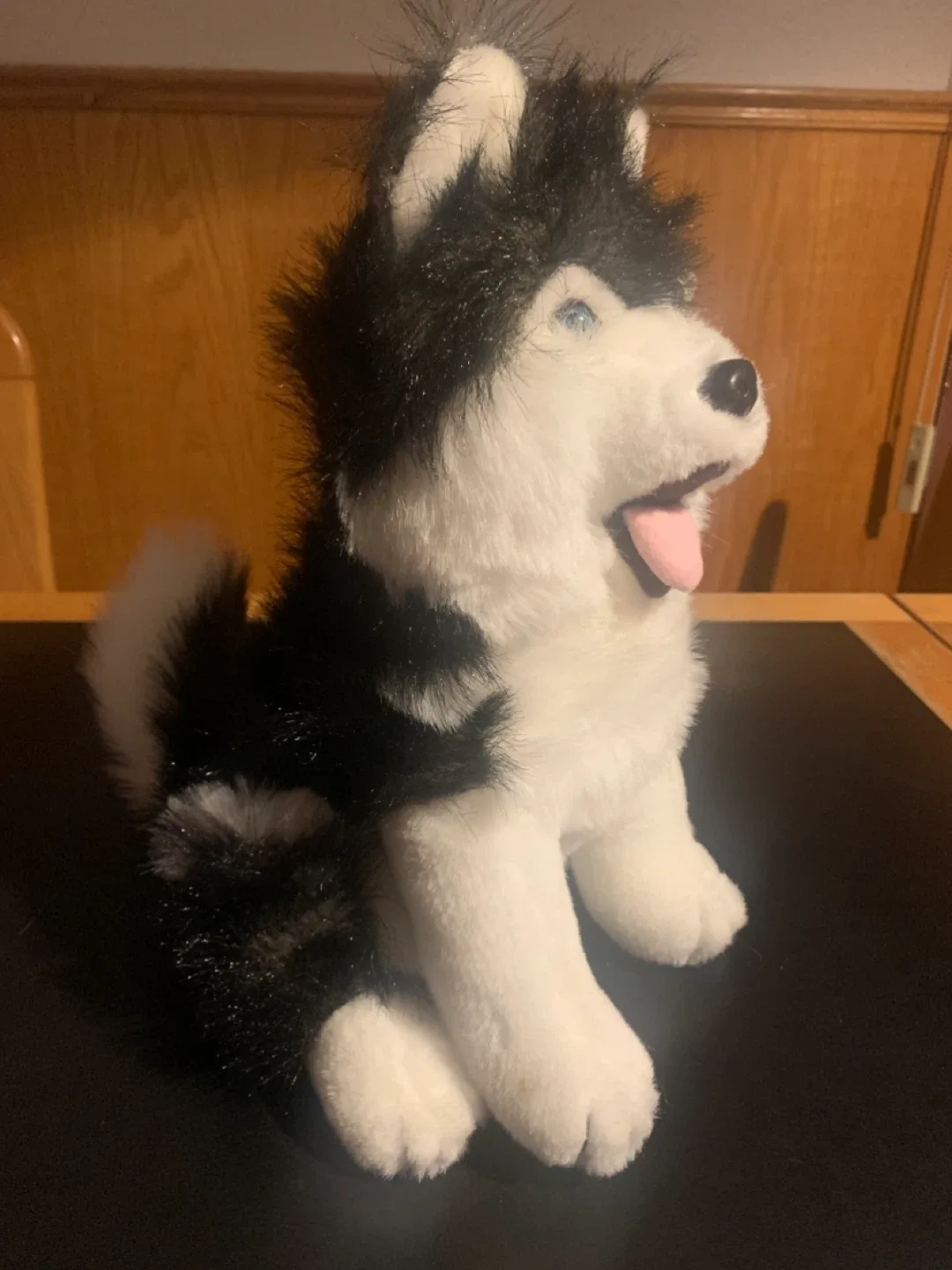 Husky Plushy image indicator(2)