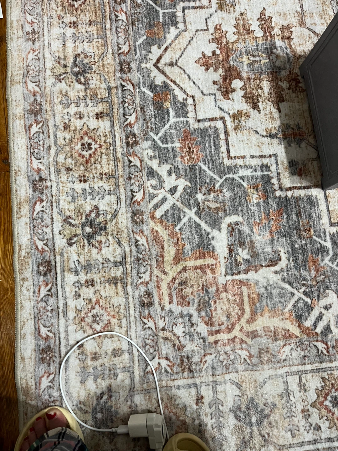 Area Rug - Neutral Colors