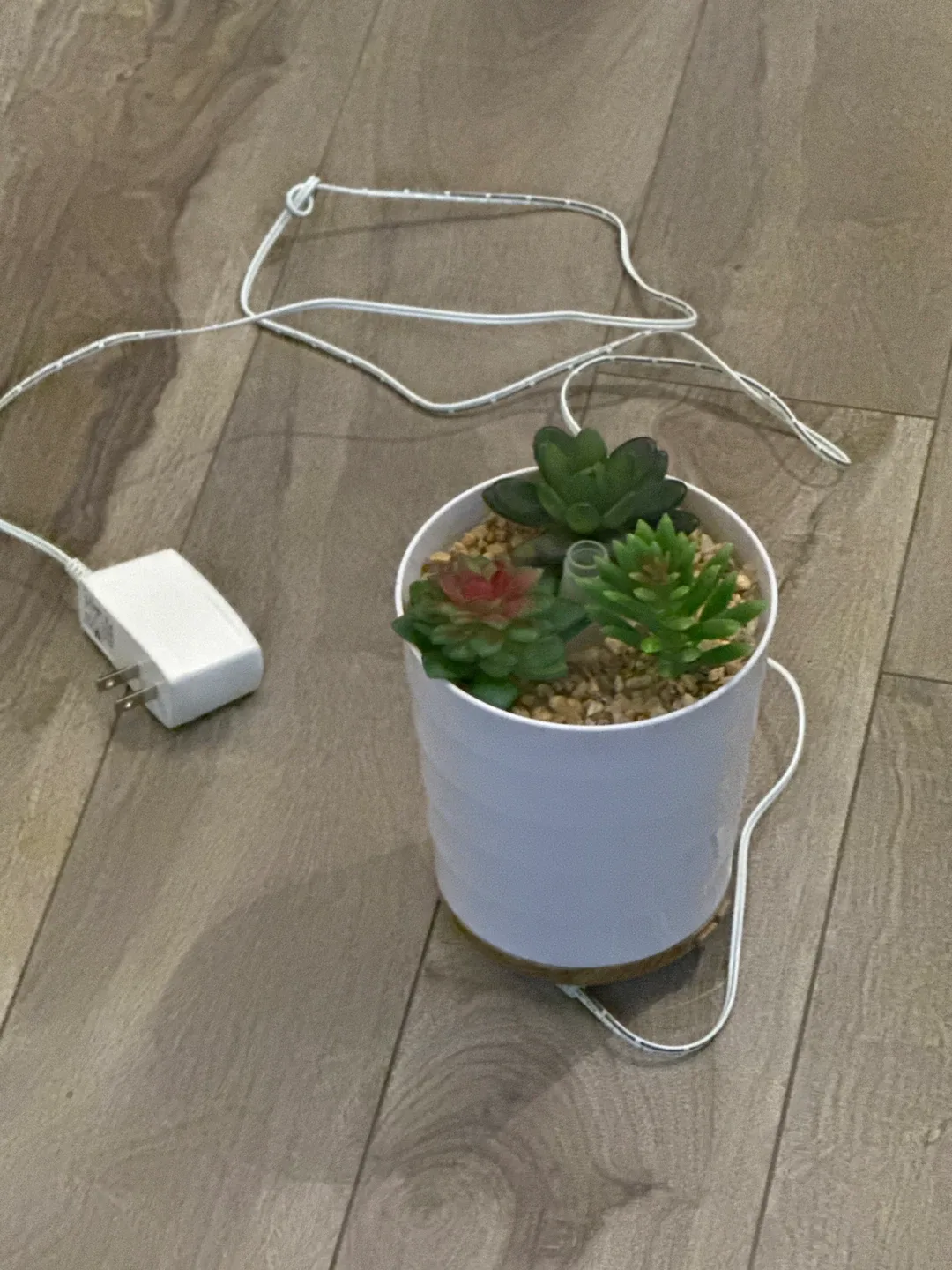 Humidifier in White Pot with LED Lights thumbnail