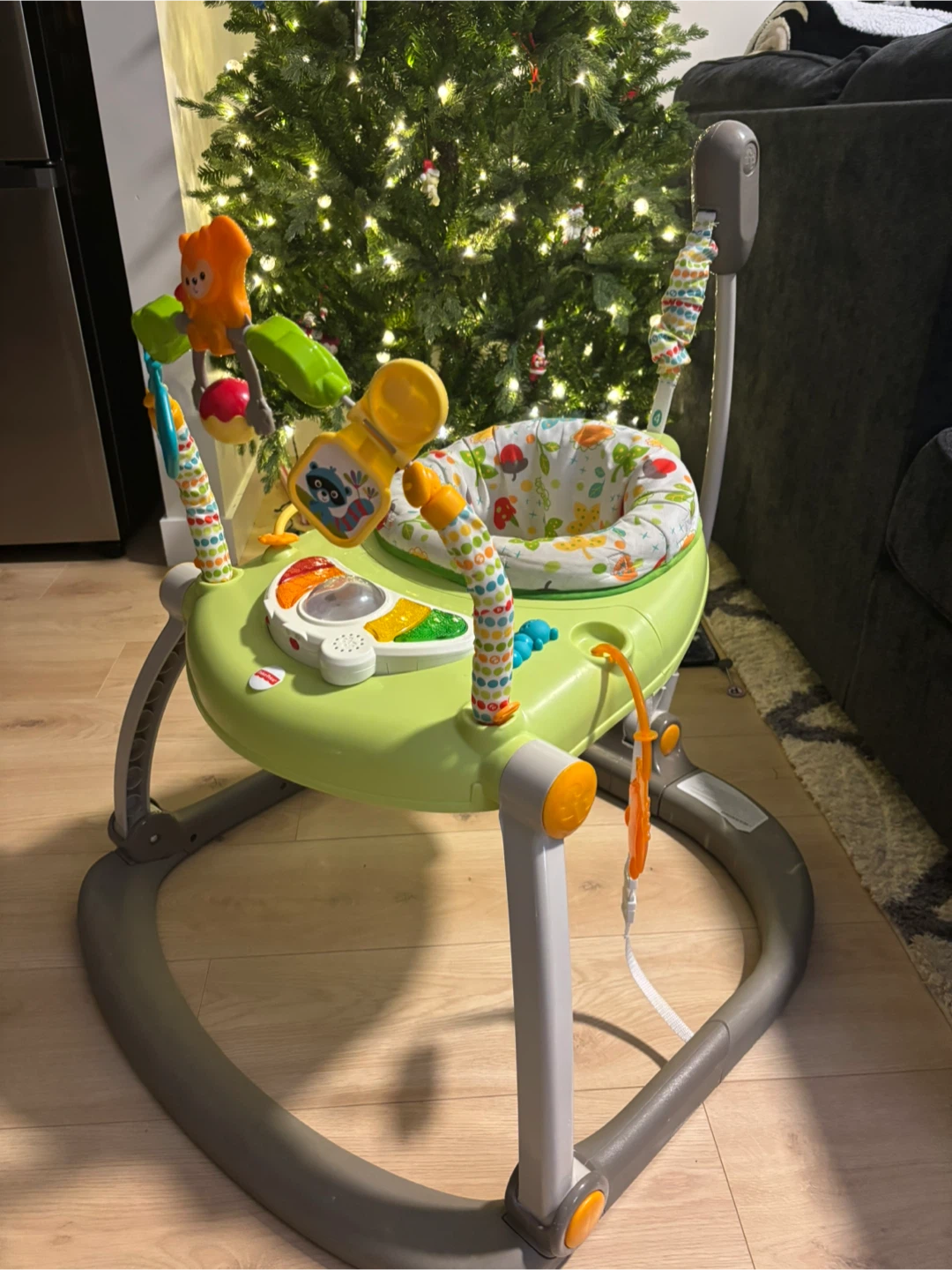 Fisher-Price Jumperoo Baby Activity Center