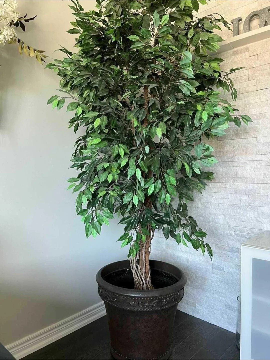 High Quality 8 foot Faux Ficus Full Tree image indicator(4)