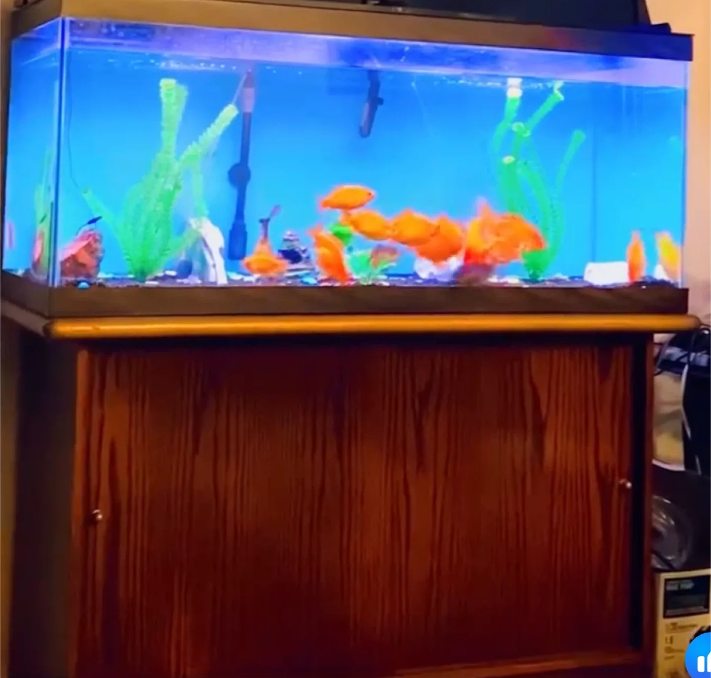 Aquarium image indicator(6)