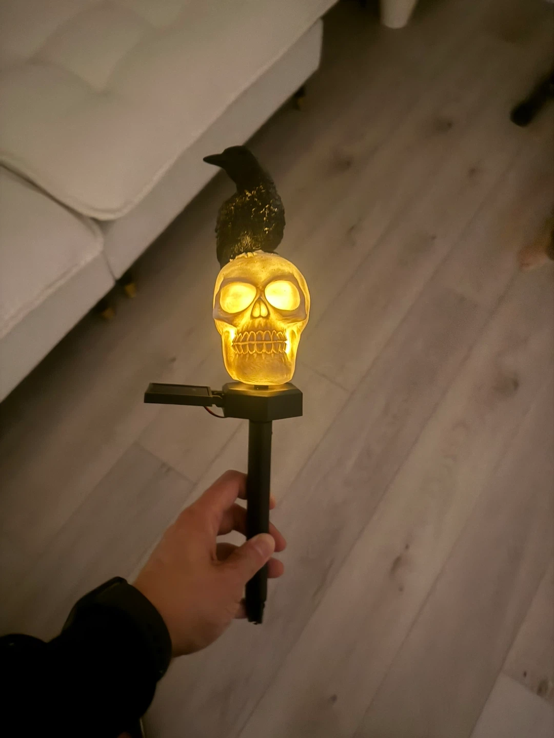 New in box! Solar Skull Head and Crow Outdoor Garden Decoration