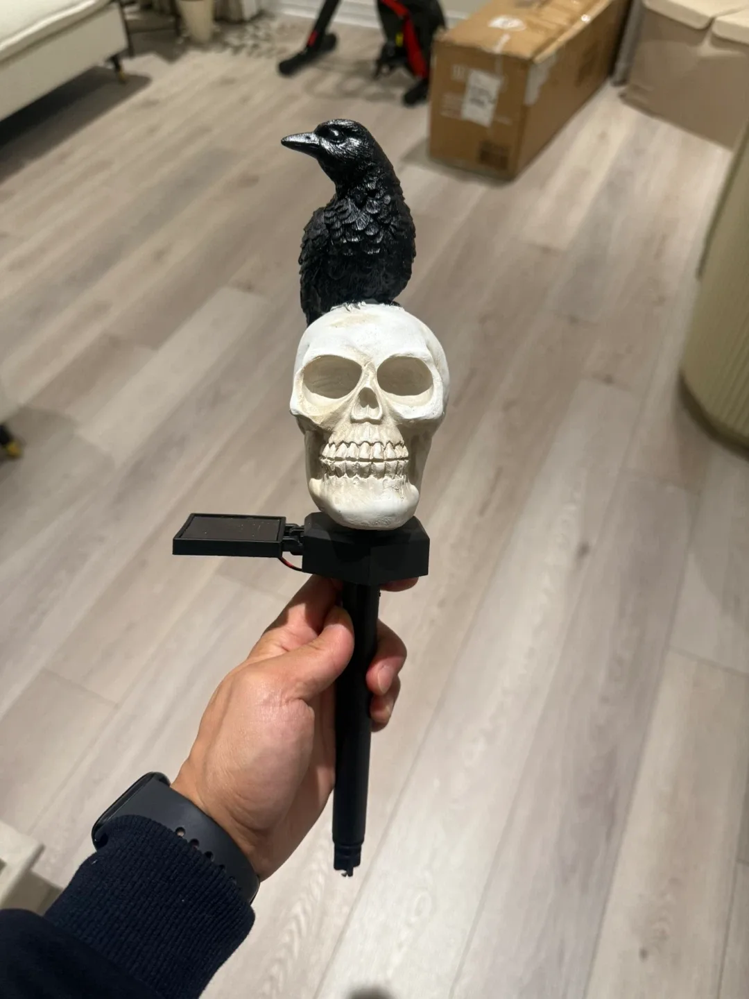 New in box! Solar Skull Head and Crow Outdoor Garden Decoration image indicator(2)
