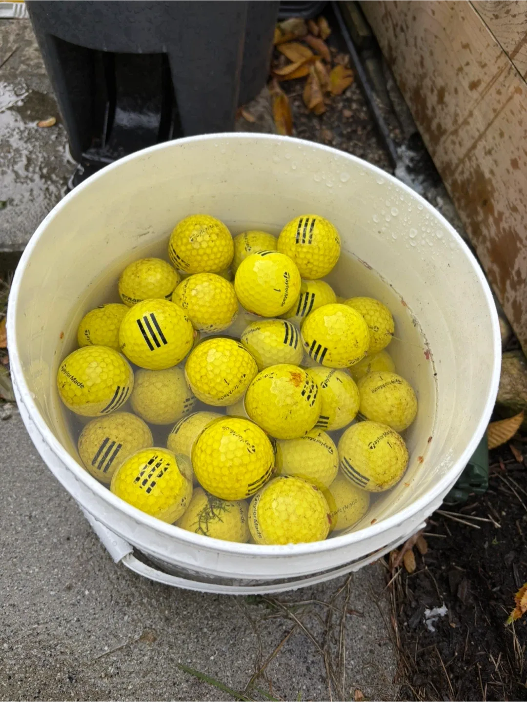 TaylorMade Yellow Golf Balls-$5 per bucket image indicator(2)