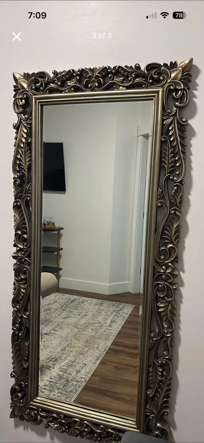 Ornate Framed Wall Mirror image indicator(2)