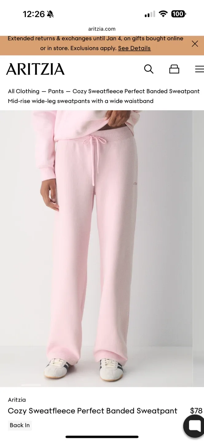 Aritzia Cozy Sweatfleece Perfect Banded Sweatpant - M 🥕