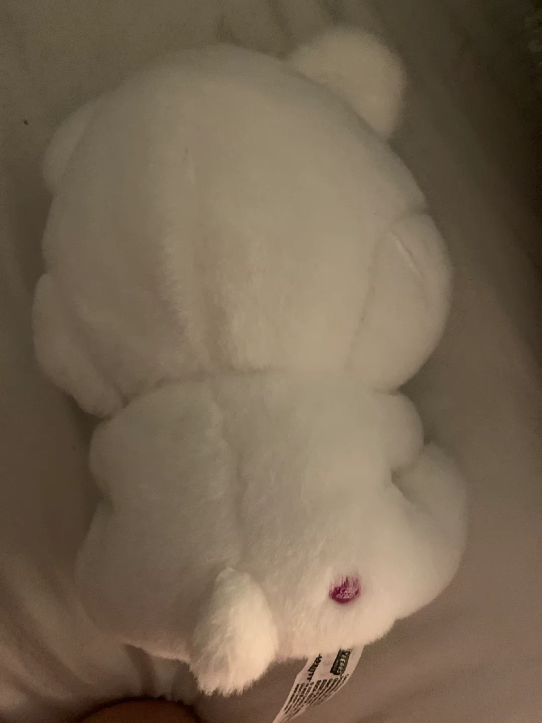 Hello Kitty Care Bears Plush image indicator(2)