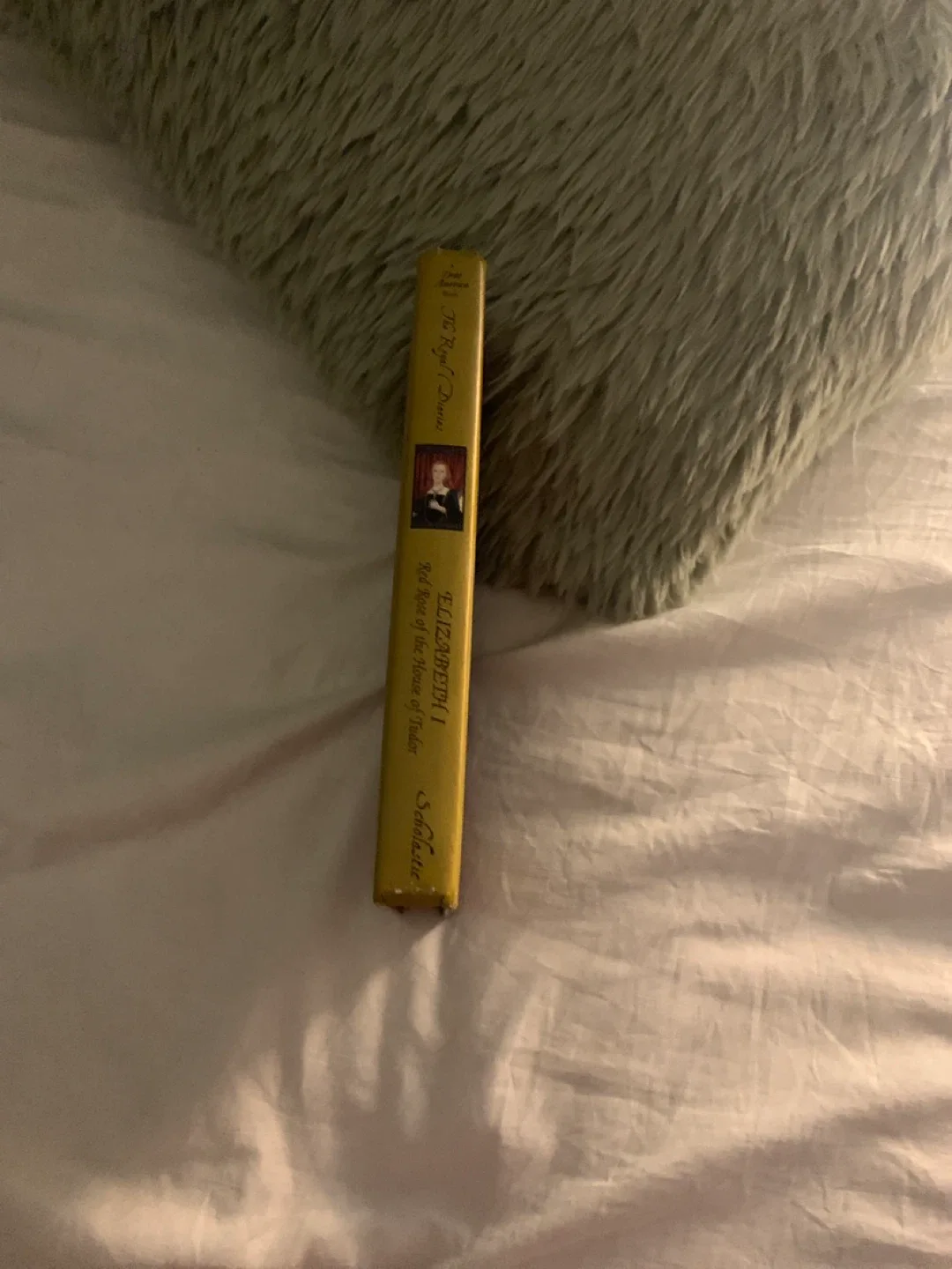 The Royal Diaries: Elizabeth I by Kathryn Lasky image indicator(3)