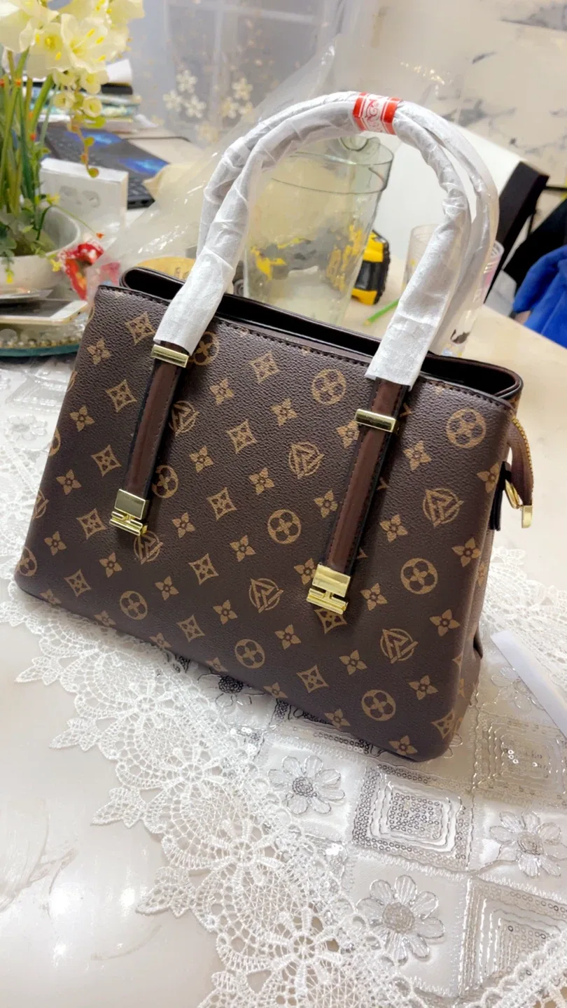 Louis Vuitton Brown Leather Handbag - New image indicator(2)
