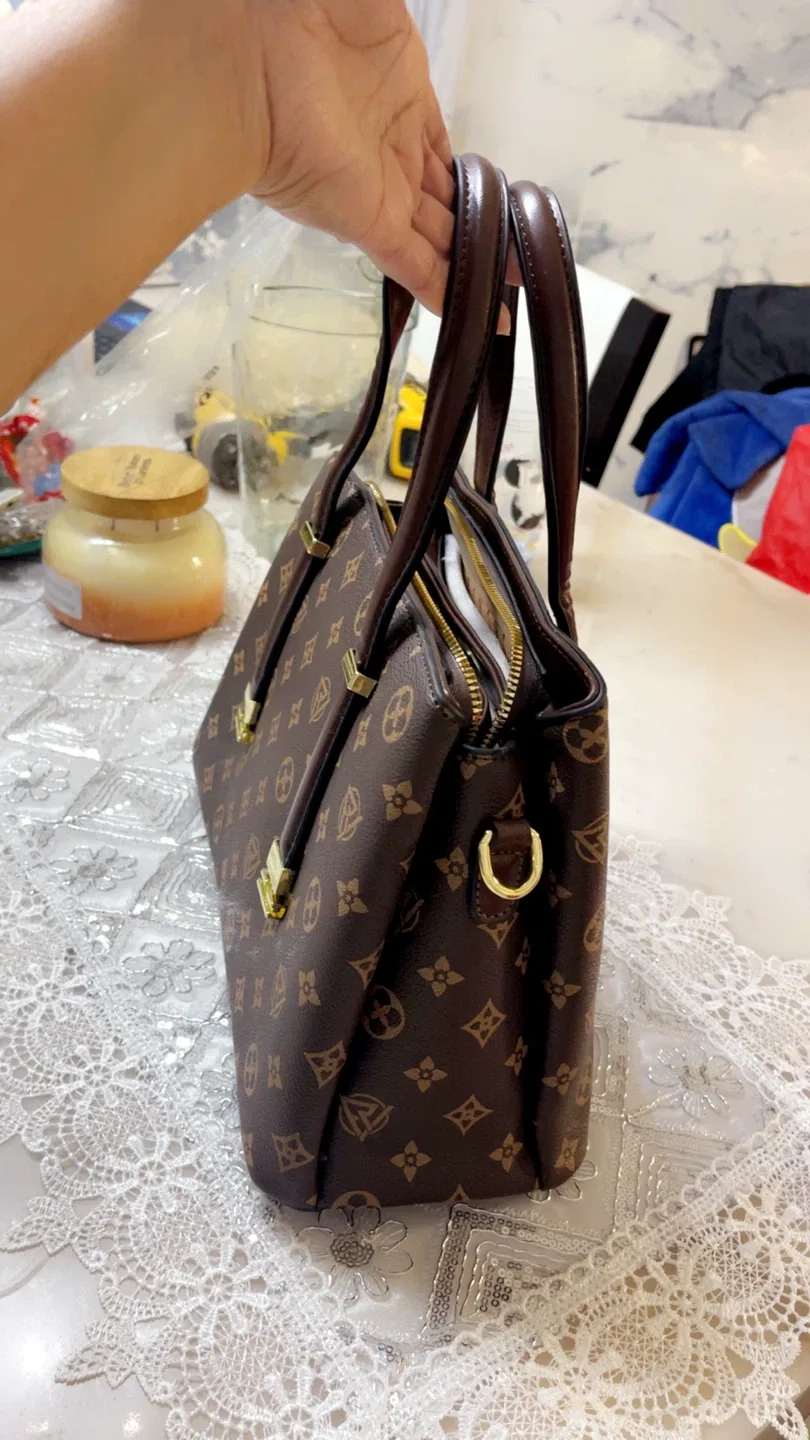 Louis Vuitton Brown Leather Handbag - New image indicator(7)