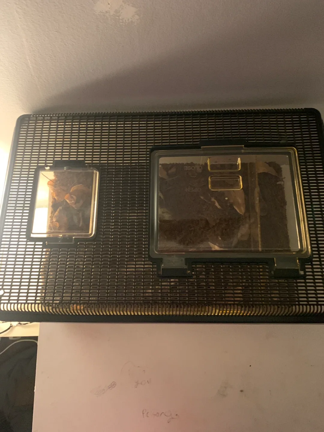 Terrarium Habitat Cage* needs to go now * image indicator(2)