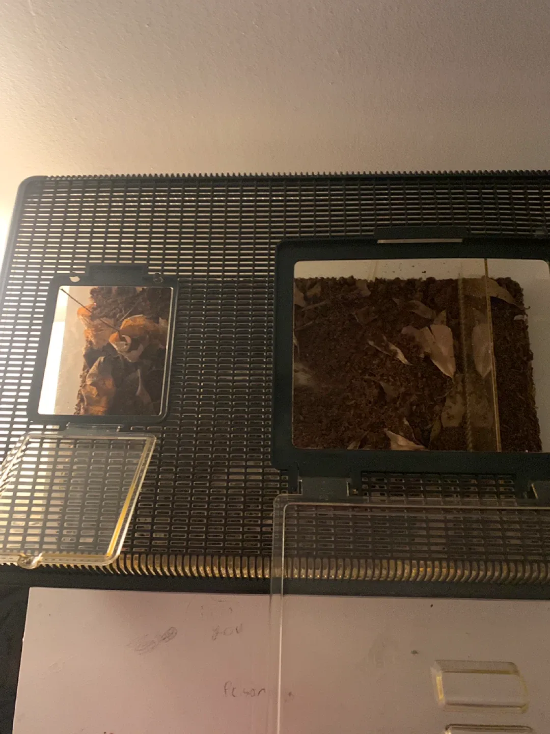 Terrarium Habitat Cage* needs to go now * image indicator(3)