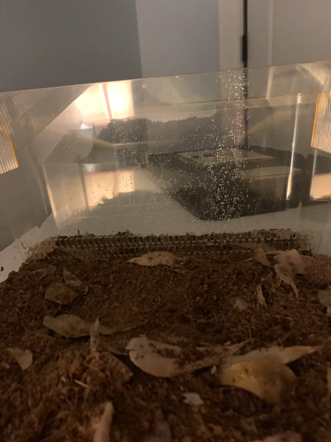 Terrarium Habitat Cage* needs to go now * image indicator(5)
