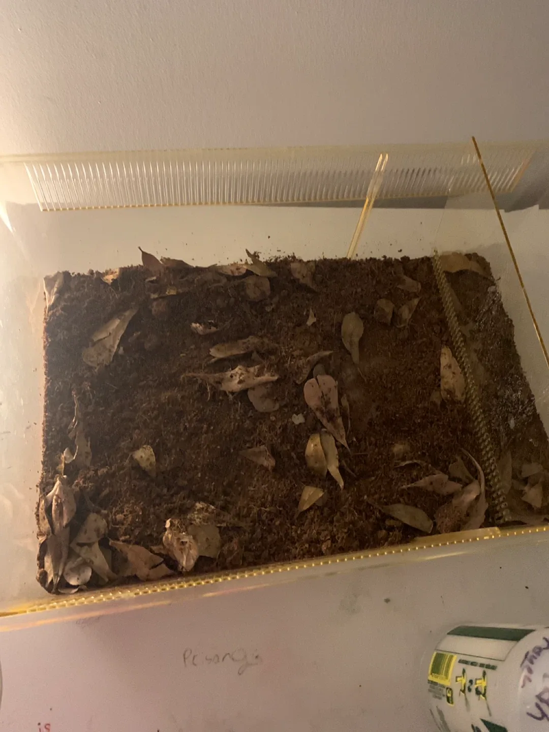 Terrarium Habitat Cage* needs to go now * image indicator(4)