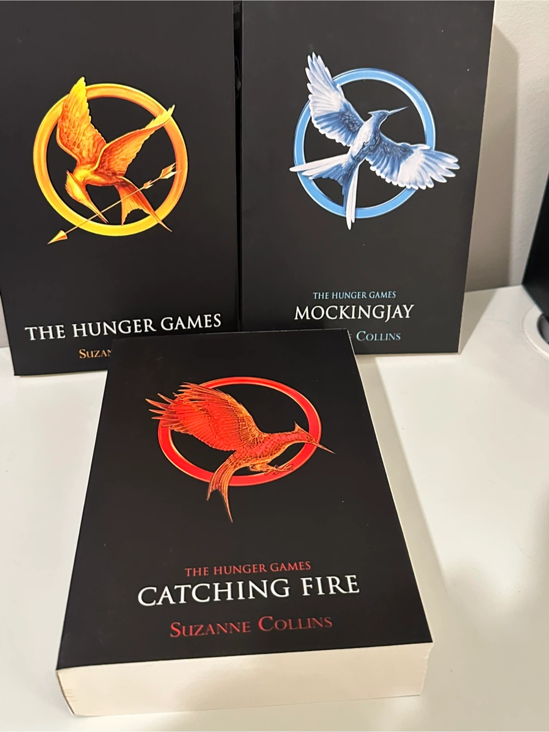 The Hunger Games Trilogy Box Set by Suzanne Collins - photo 3