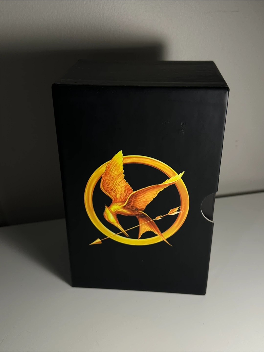 The Hunger Games Trilogy Box Set by Suzanne Collins - photo 2