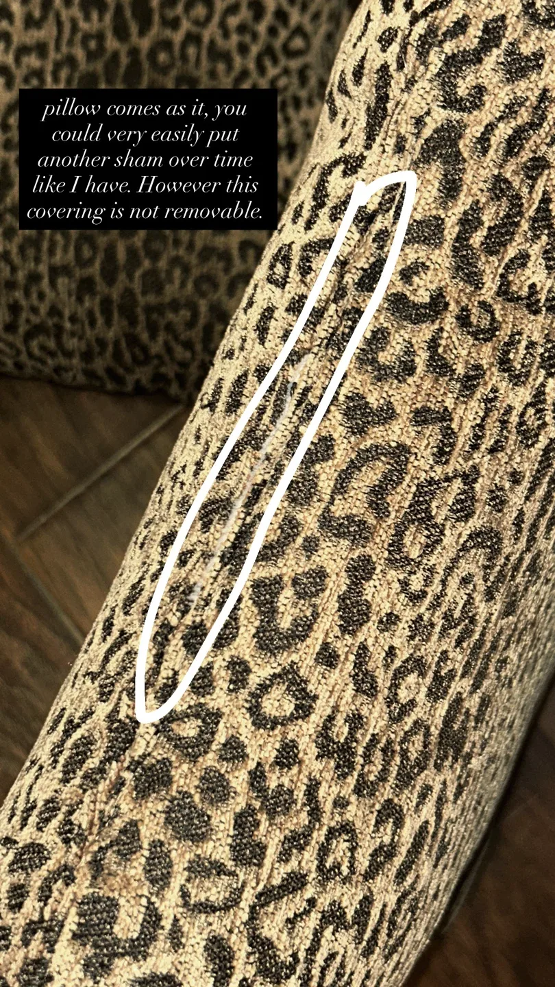 Leopard Print Throw Pillow Set image indicator(2)