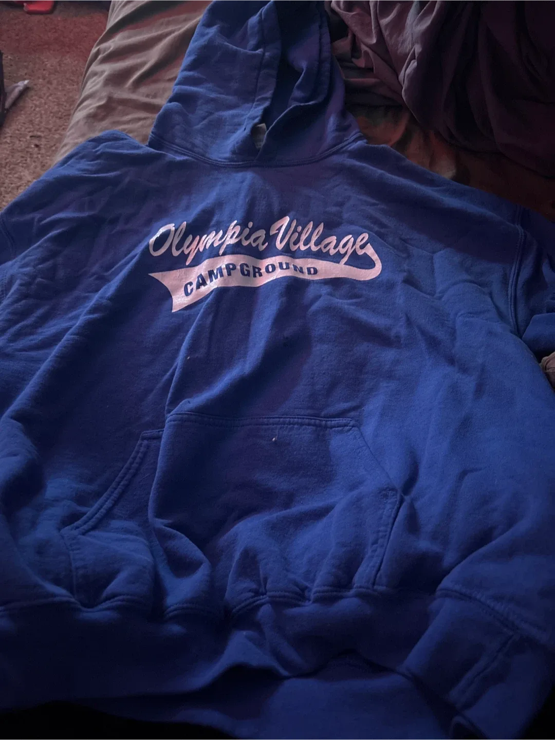 Olympia Village Campground Blue Hoodie image indicator(2)