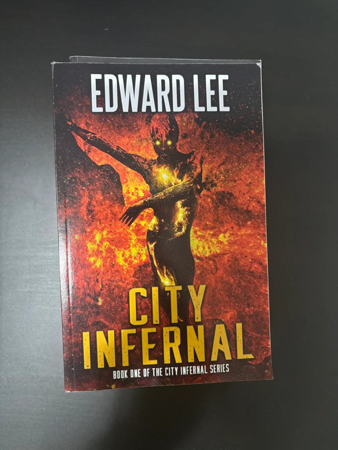 Thriller/ horror books bundle image indicator(4)