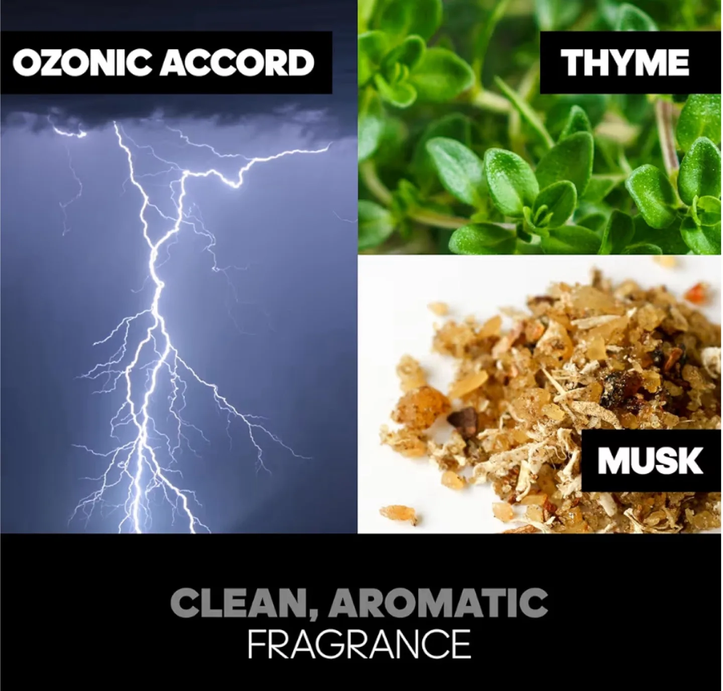 Adidas Dynamic Pulse Body Fragrance 75ml image indicator(5)